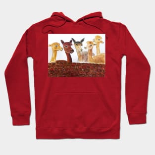 Funny Alpacas Hoodie